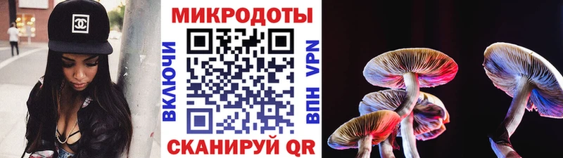 Купить где  Гремячинск  Псилоцибиновые грибы мухоморы 